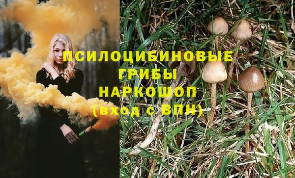 ПСИЛОЦИБИНОВЫЕ ГРИБЫ Володарск